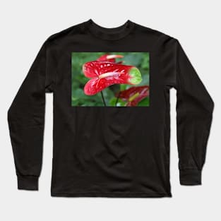 Bi-colour Anthurium Long Sleeve T-Shirt